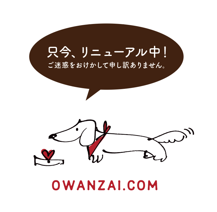 只今、リニューアル中！